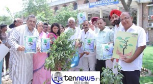 Plantation on World Environment