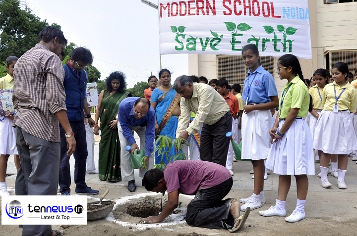 noida sec11 Modern School, Plantation Drive par plant lagate hue