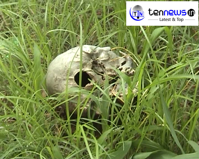 vlcsnap-2016-07-06-18h15m23s96