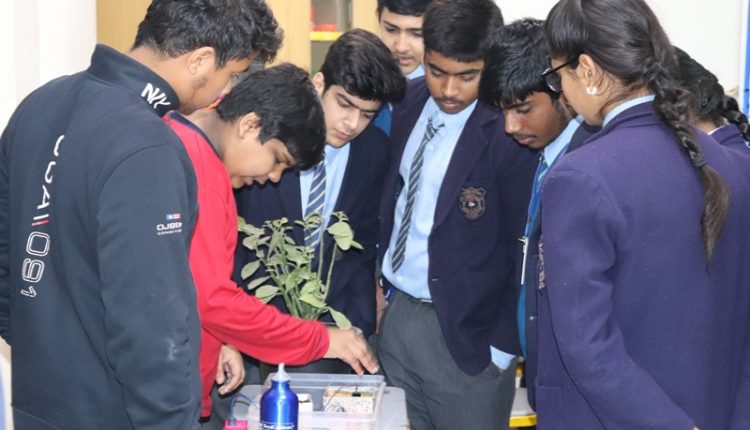 Billabong High International School Organizes Its Annual Science Festival 'MATRIX' in Noida