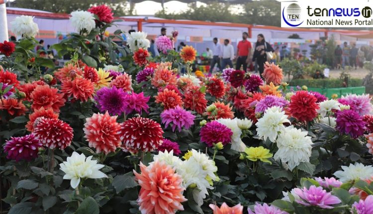 Large number of people reached to see the Flower show, Scent of Flowers spread across Noida Stadium