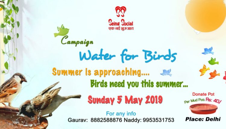 “Water for Birds” initiative by ‘Being Social’ to be organized on 5th May at Tau Devi Lal Biodiversity Park in Gurugram