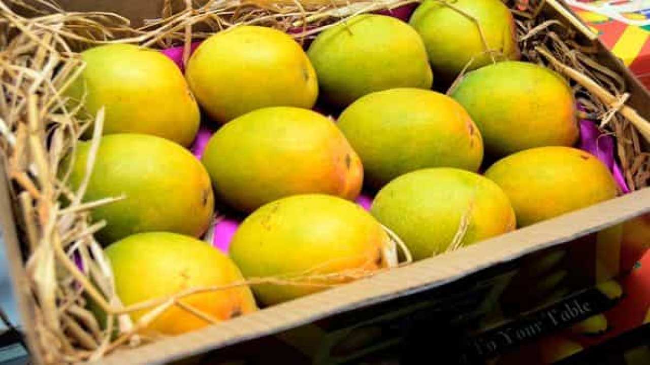 Centre secures approval for export of Indian mangoes to USA this season