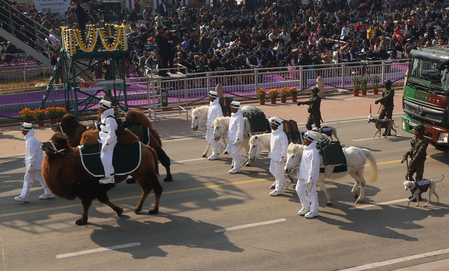 भारतीय सेना प्रमुख ने बेक्ट्रियन ऊंटों और जंस्कारी टट्टुओं को सम्मानित किया