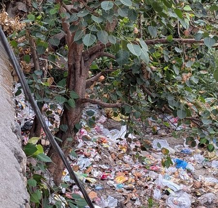 Polluted Barsati River