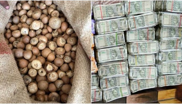 DRI Areca Nut Import Scam